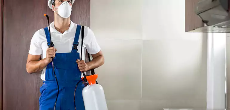Why Sacramento Homeowners Choose Us When Pests Make Selling Difficult